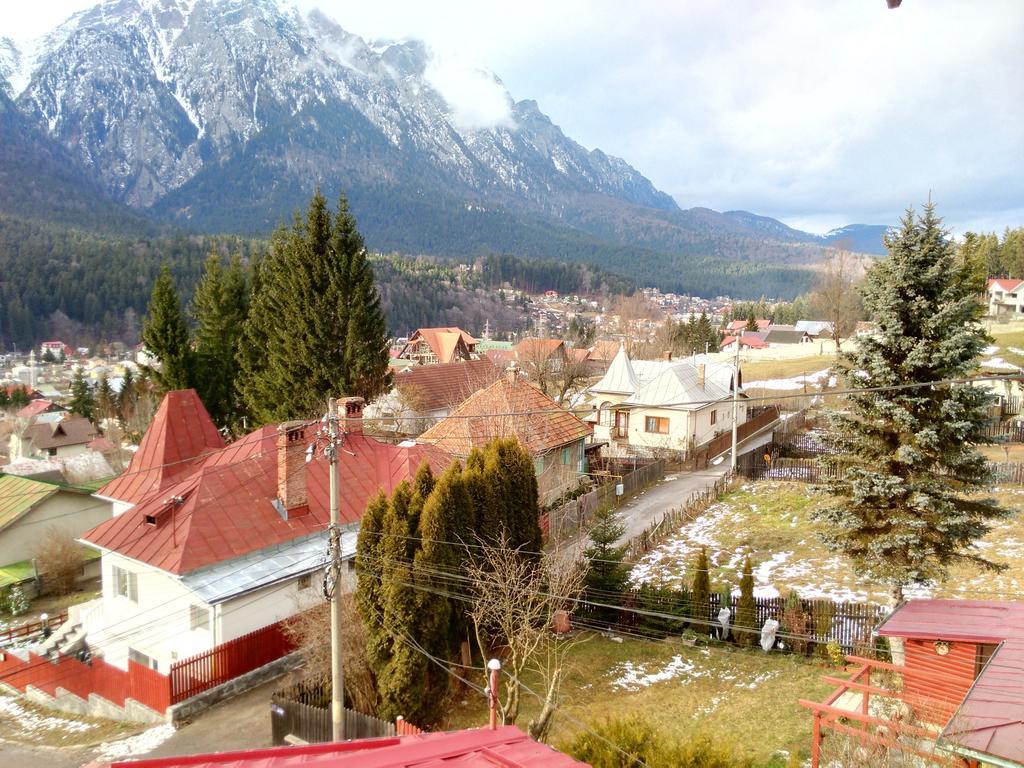 Vila Marcela Буштені Номер фото